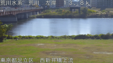 arani2025112612_image