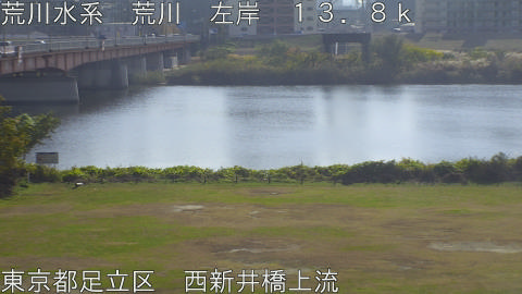 arani2025112712_image