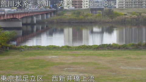 arani2025112715_image