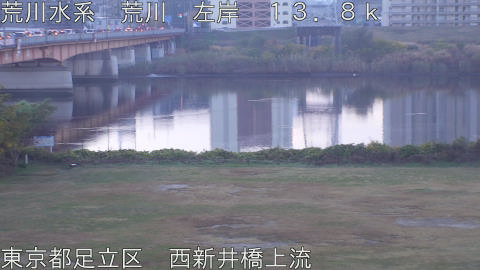 arani2025112807_image