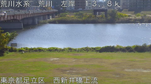 arani2025112812_image