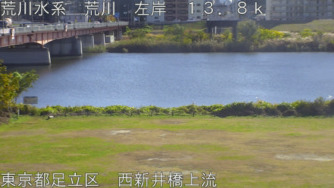 arani2025112813_image