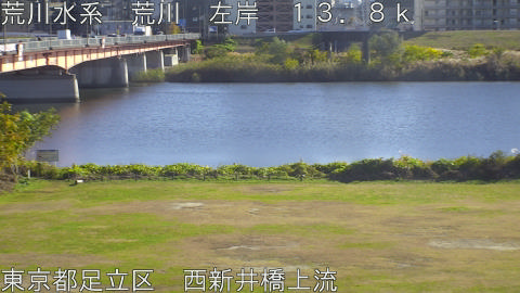 arani2025112814_image