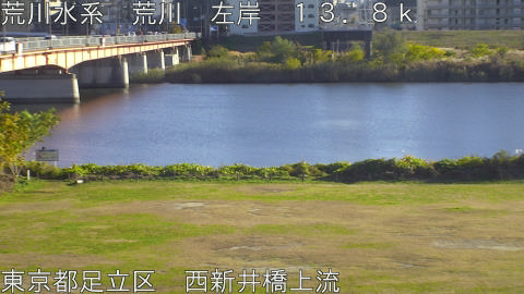 arani2025112815_image