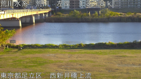 arani2025112816_image