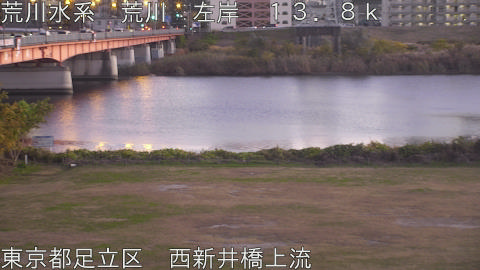 arani2025112817_image