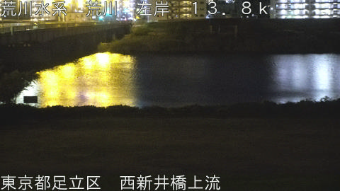 arani2025112822_image