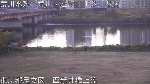 arani2025113007_image