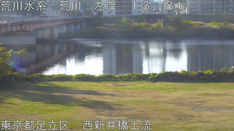 arani2025113008_image