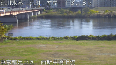 arani2025113014_image