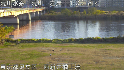 arani2025113016_image