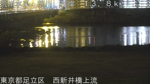 arani2025113023_image