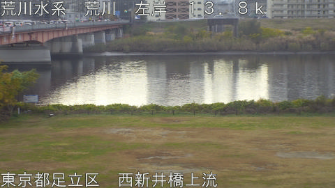 arani2025120108_image