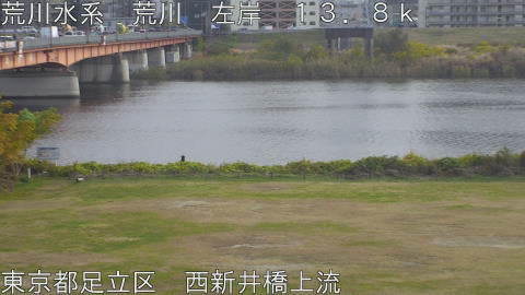 arani2025120215_image