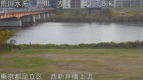 arani2025120216_image