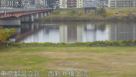 arani2025120312_image