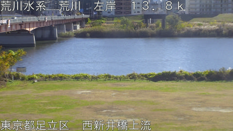 arani2025120413_image