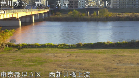 arani2025120416_image