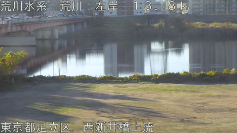 arani2025120508_image