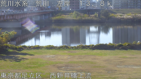 arani2025120509_image