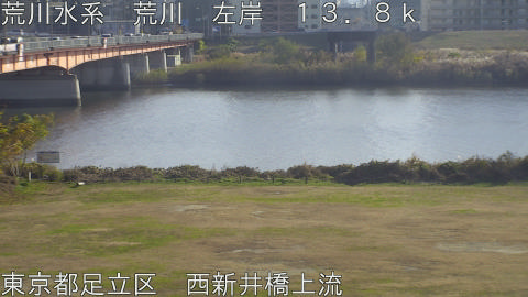 arani2025120814_image