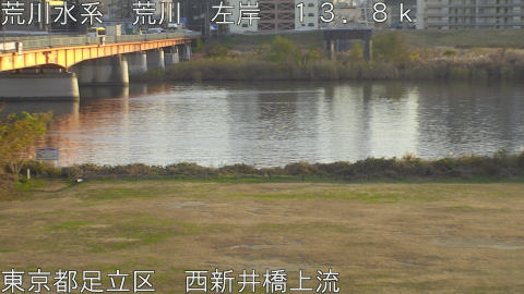 arani2025120816_image