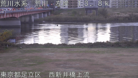 arani2025120907_image