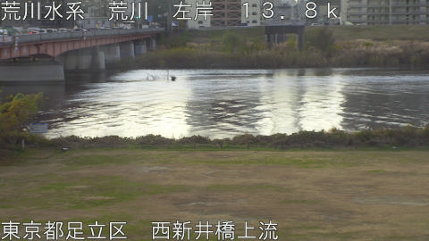 arani2025120908_image