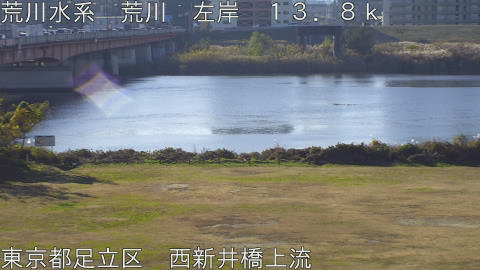 arani2025121009_image