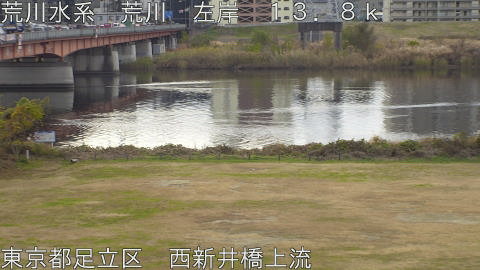 arani2025121109_image