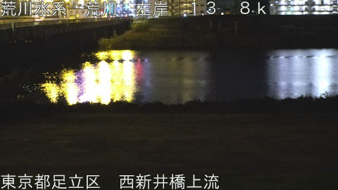 arani2025121123_image