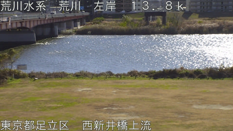 arani2025121212_image