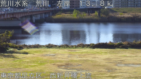 arani2025121509_image