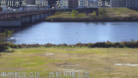 arani2025121510_image