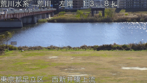 arani2025121512_image