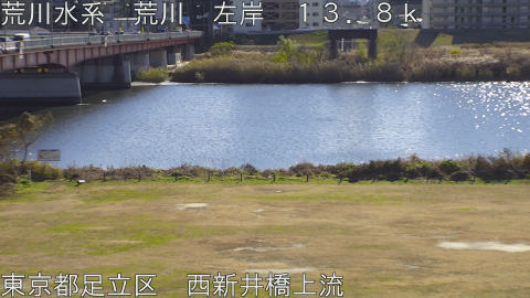 arani2025121812_image