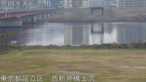 arani2025122112_image