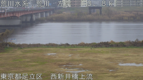 arani2025122412_image