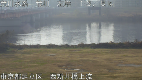 arani2025122509_image