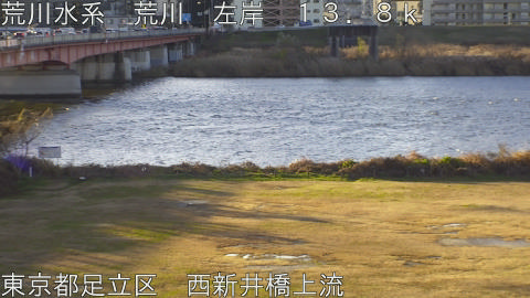 arani2025122608_image