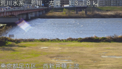 arani2025122609_image