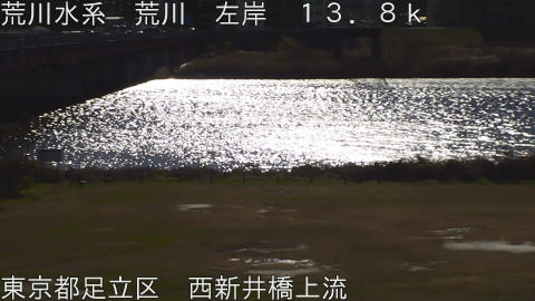 arani2025122611_image