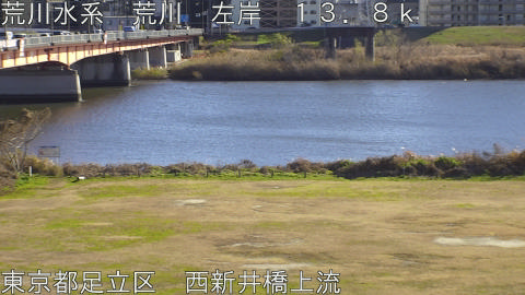 arani2025122614_image