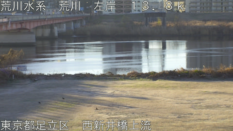 arani2025122808_image