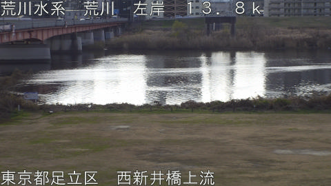 arani2025122910_image