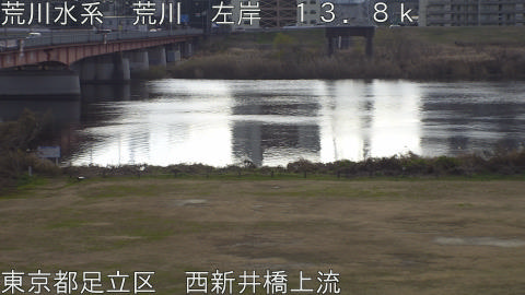 arani2025122911_image