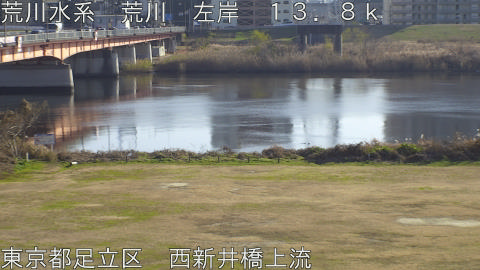 arani2025122914_image