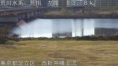 arani2025123109_image