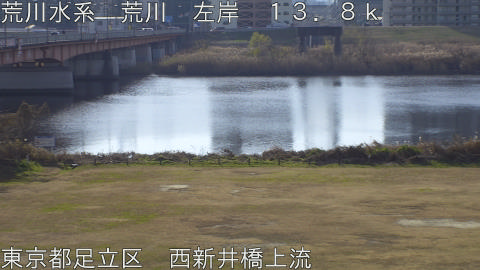 arani2025123110_image