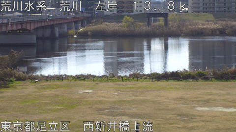 arani2025123111_image